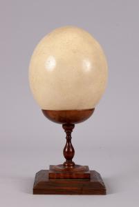 Ostrich egg on olive wood base